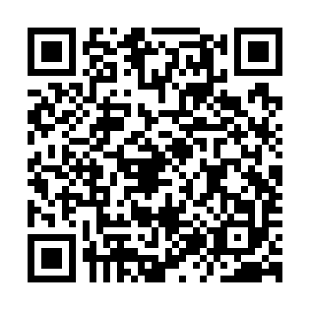 QR code for plate IZ2-W920