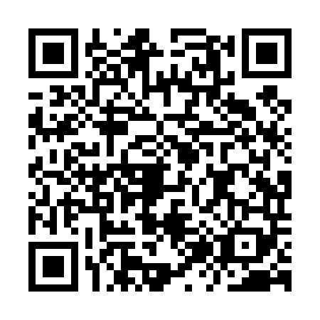 QR code for IZ8-T496