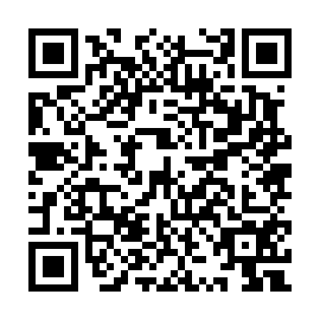 QR code for plate IZJ-4545