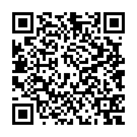 QR code for JBD0313