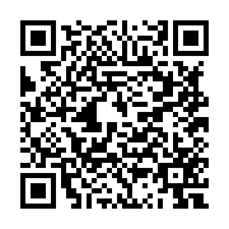 QR code for plate JS0-H579
