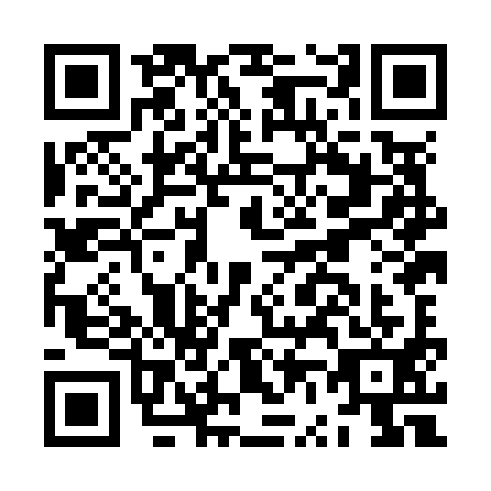 QR code for JV8-N919