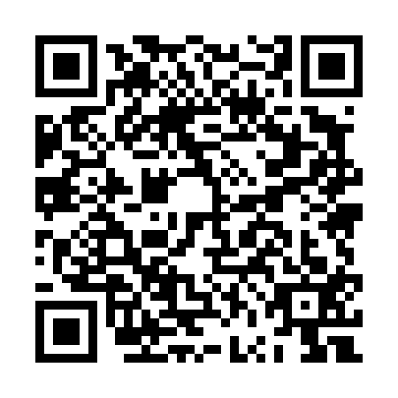 QR code for plate JVM-4133