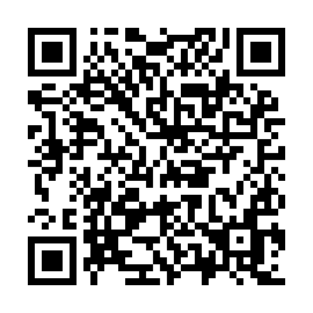 QR code for K51-IIN