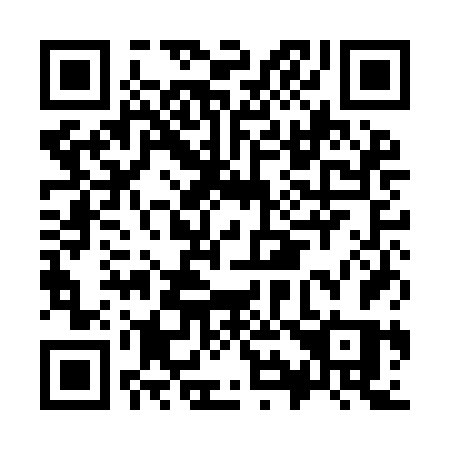 QR code for plate K91-IFS