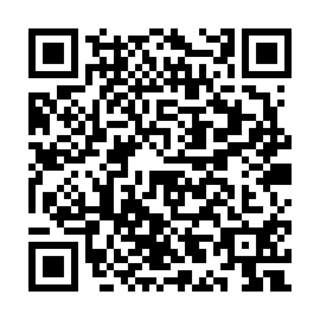 QR code for plate KL1-V100