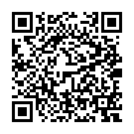QR code for plate KO8-W919