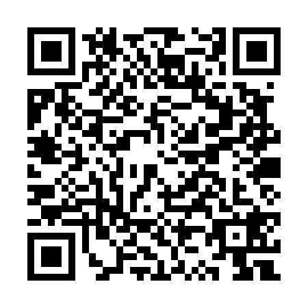 QR code for plate KZ0-T289