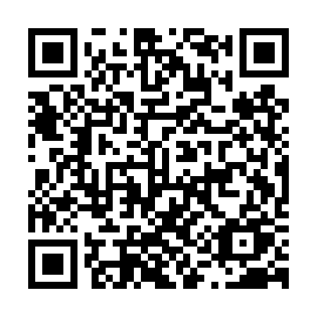 QR code for L11-DRU