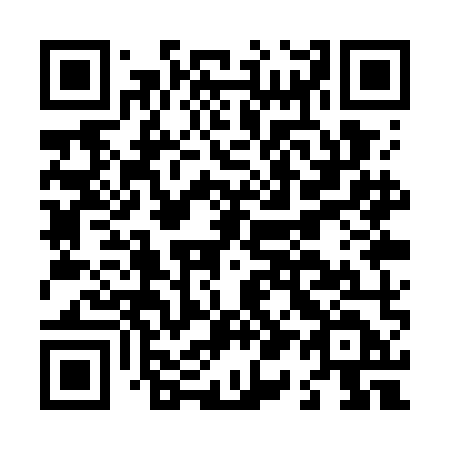 QR code for L11-WMD