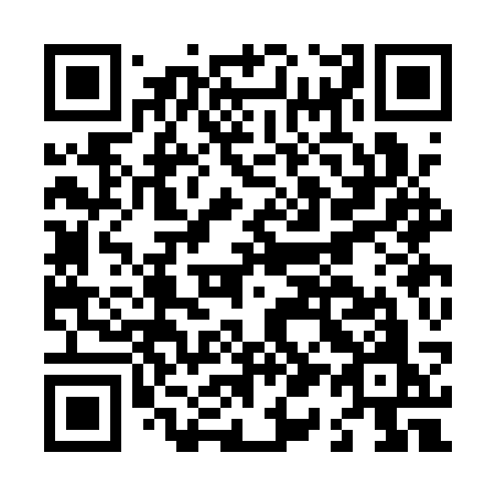 QR code for L13-ASO