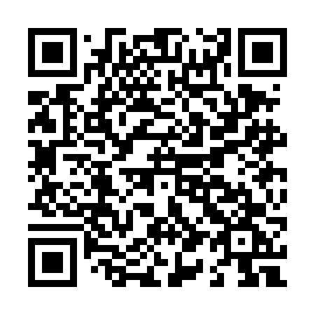 QR code for plate L13-DFG