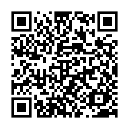 QR code for plate L13-YZM
