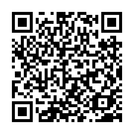 QR code for L17-RPI
