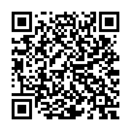 QR code for L17-VPE