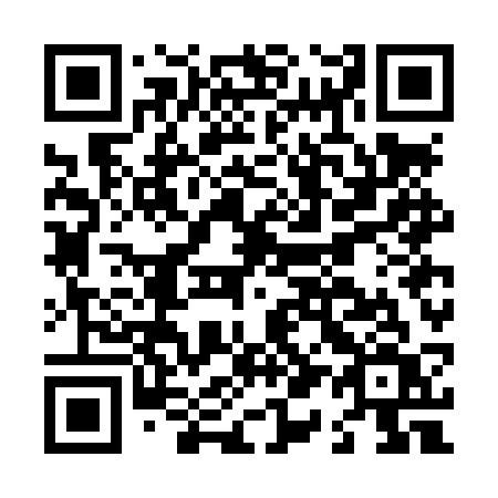 QR code for L17LSV