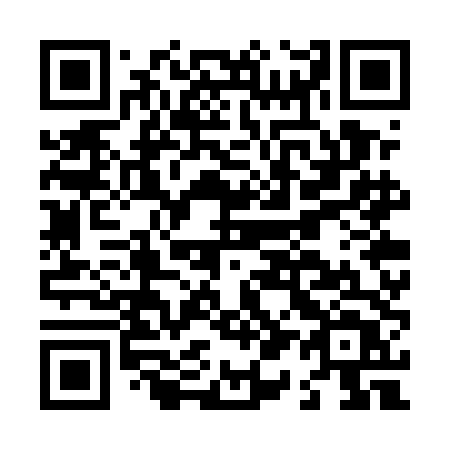 QR code for L17UDT