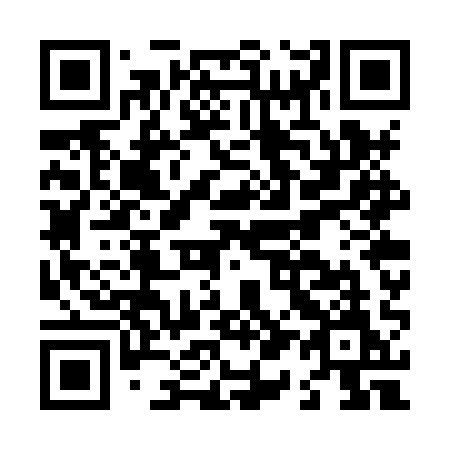 QR code for plate L17-XQM
