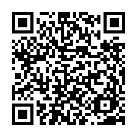 QR code for plate L19-JFO