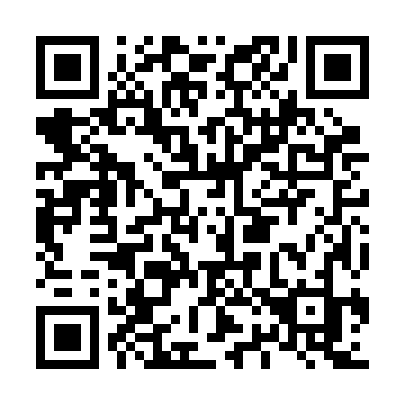QR code for plate L22-BJJ