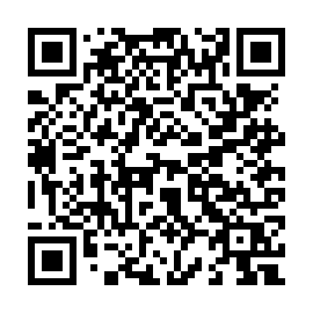QR code for plate L22-NOR