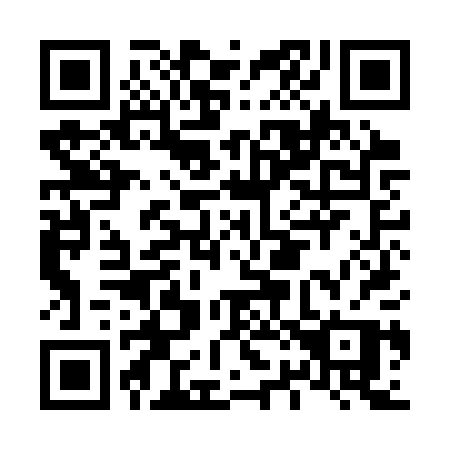 QR code for L29-CPP