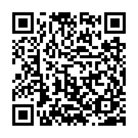 QR code for L29-GYS