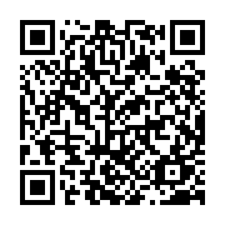 QR code for plate L30-QAT