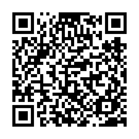 QR code for L33FEL