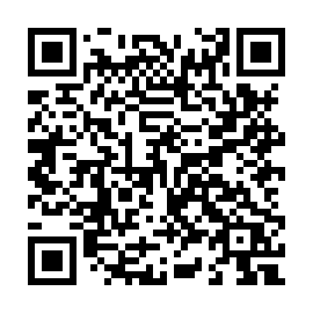 QR code for plate L38-HPR