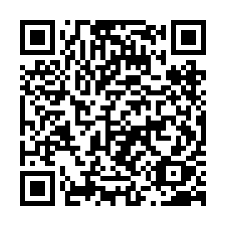 QR code for plate L51-BAX