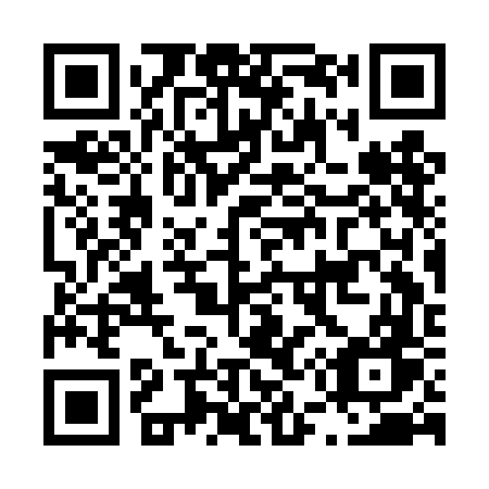 QR code for L53-DFW