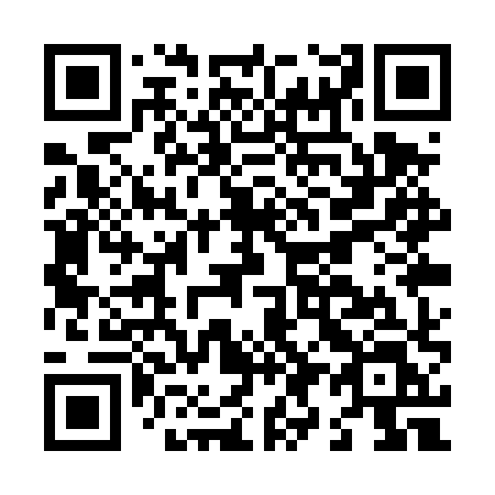 QR code for L91-TXL