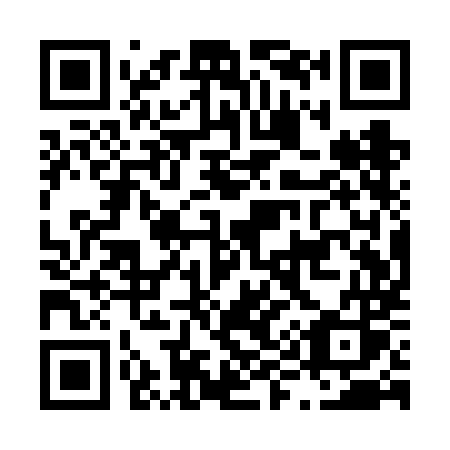 QR code for L91-VMS