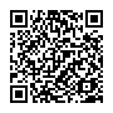 QR code for plate L96-ICA
