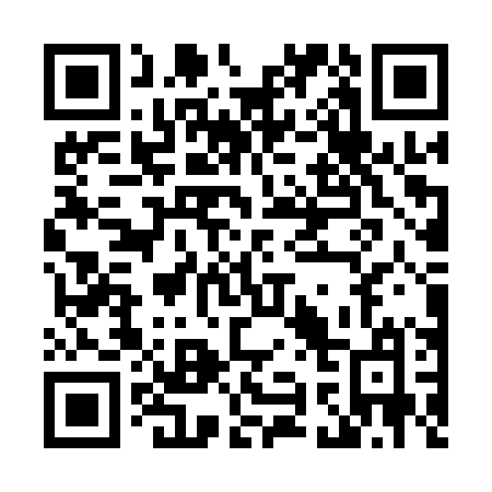 QR code for plate L96-QPM