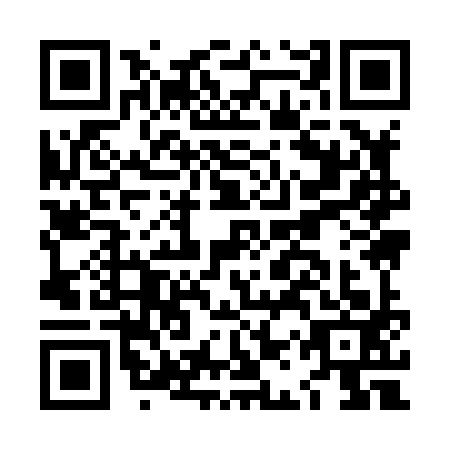 QR code for LAY8936