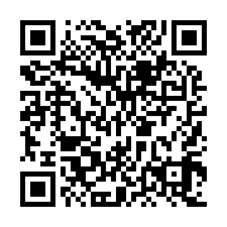 QR code for LDJ919