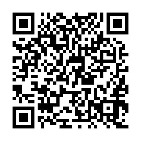QR code for plate LDV-852