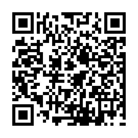 QR code for plate LDW-9951
