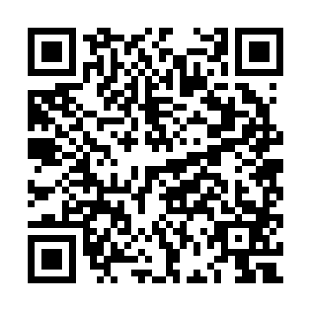 QR code for plate LFR-2833