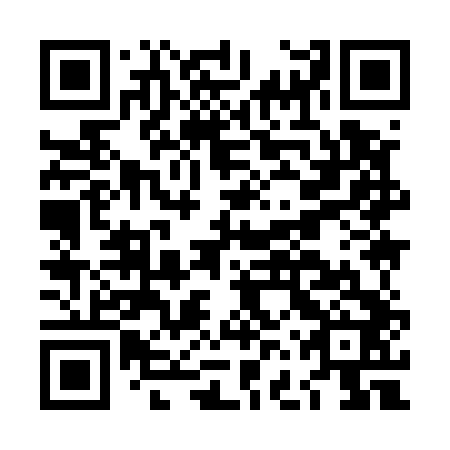 QR code for plate LFY-542