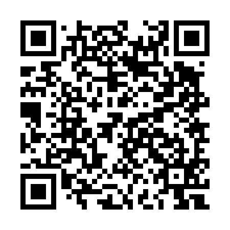 QR code for LFZ495