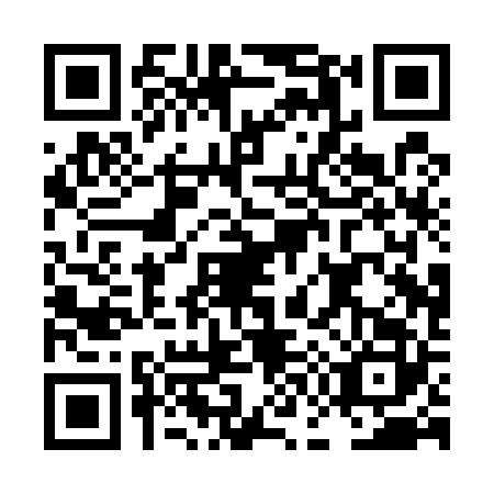 QR code for plate LG0-U228