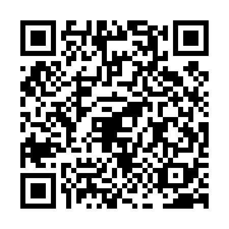 QR code for LG1-T796