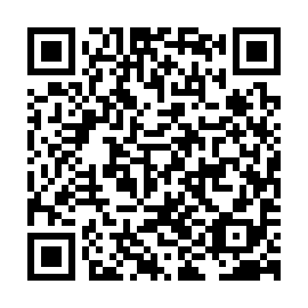 QR code for LIE-398