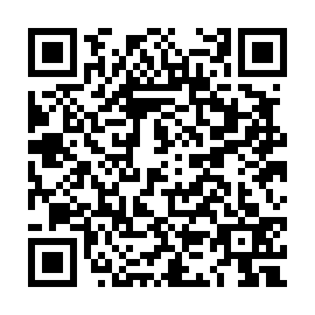 QR code for LK1-D338