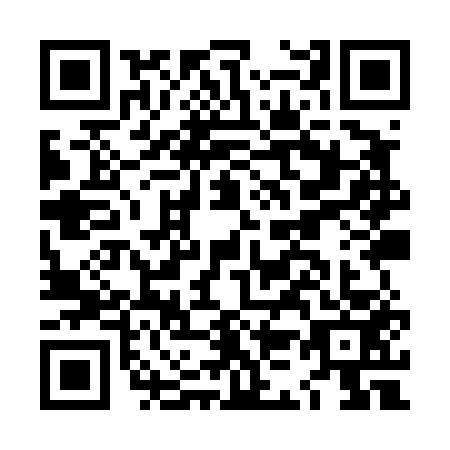 QR code for plate LK9-T538