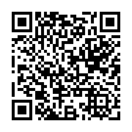 QR code for plate LKP-353