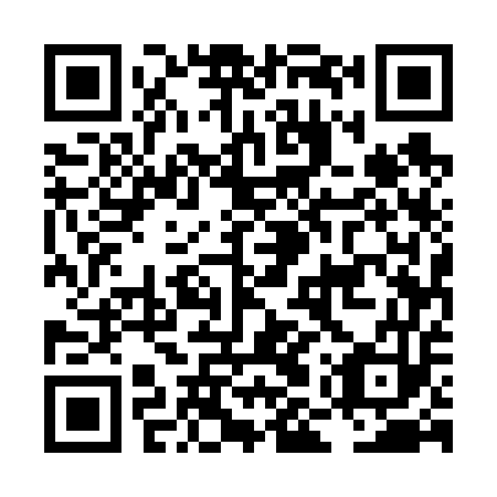 QR code for plate LMU-653